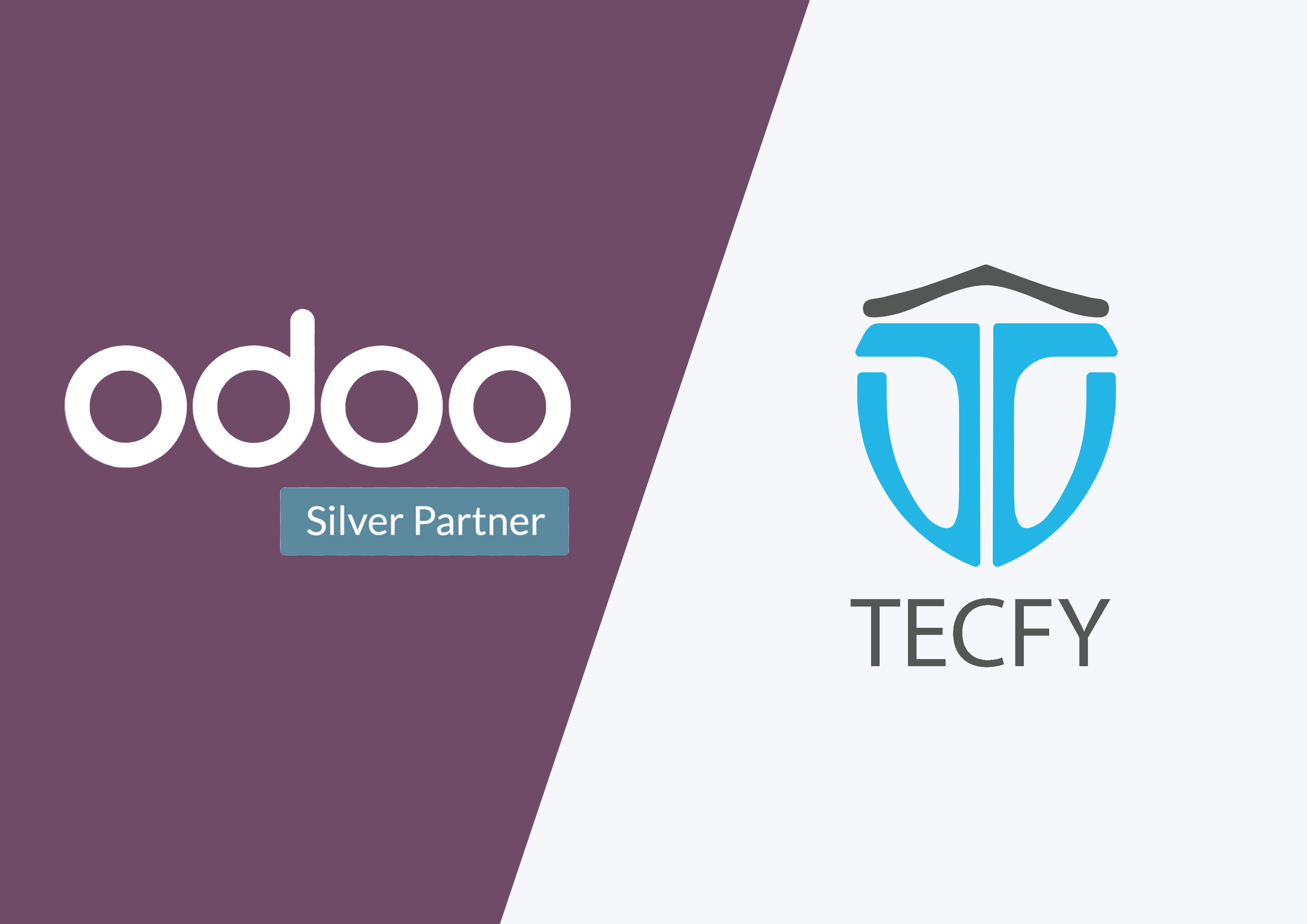 Odoo Silver Partner